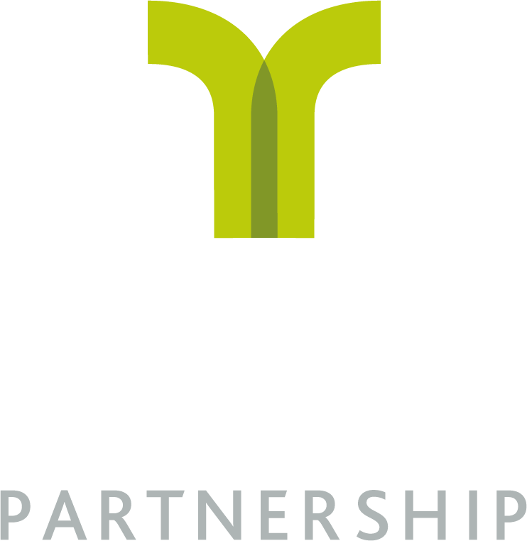 ream-CMYK-standalone-portfolio